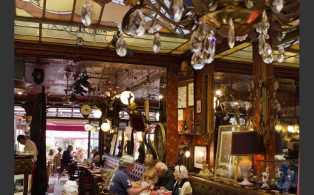 Why French Service Feels Different and Better?