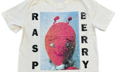 A Fresh Take on Street Fashion: Raspberry Hills Hoodie Goes Crypto