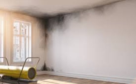 Smoke Damage Cleanup Easy Guide to Clean and Restore Your Home