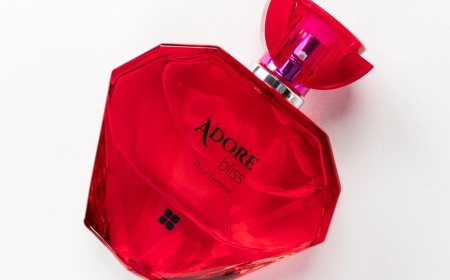 Webflow Development Services in Dubai, UAE: Building the Future of Web Design