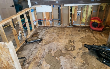 Why Immediate Water Damage Restoration Prevents Costly Repairs