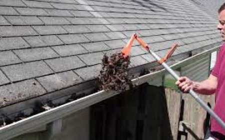 The Complete Guide to Gutter Cleaning Dandenong: Why It Matters and How to Get It Done Right