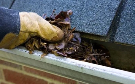 Protect Your Property with Expert Gutter Cleaning in Balwyn