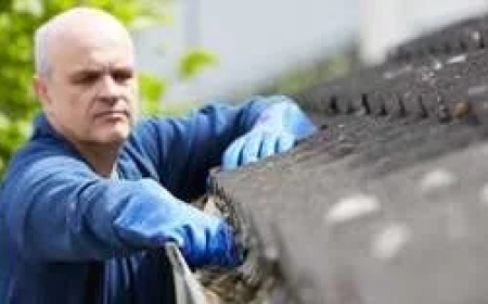 Comprehensive Guide to Gutter Cleaning Abbotsford: Why It’s Essential for Your Property’s Health