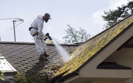 Best Roof Moss Removal in Medford, OR: Expert Care for Long-Lasting Roof Protection