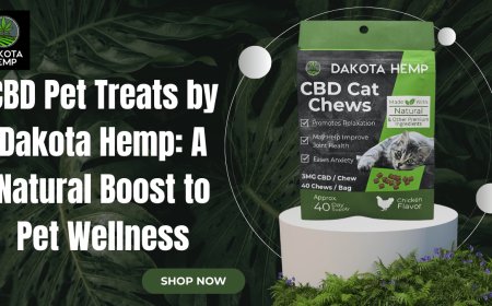 CBD Pet Treats – Safe, Calming & Tasty | Dakota Hemp