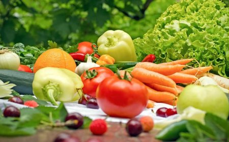 The Rising Demand for Organic Foods and Their Impact on Modern Lifestyles