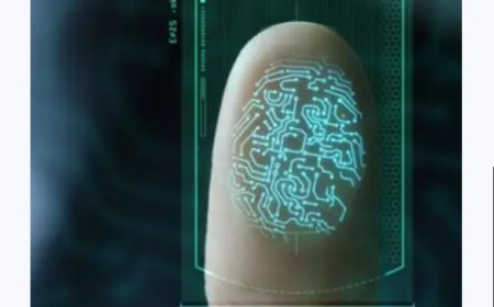 Enhancing Security with Identity Verification Companies and Biometric Voice Recognition