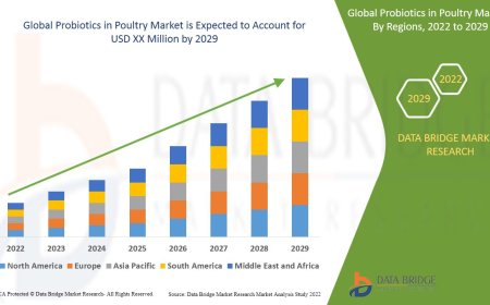 Probiotics in Poultry Market Size, Share, Trends, Demand, Growth, Challenges and Competitive Outlook