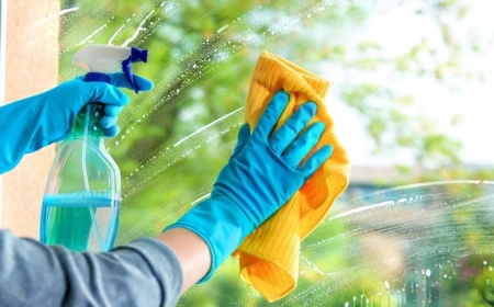 Let the Sunshine In: Expert Window Cleaning Spring Hill TN!