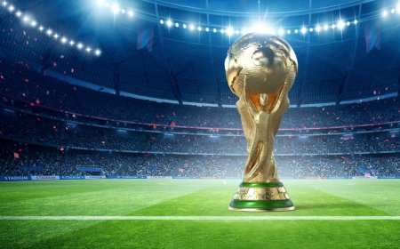 FIFA World Cup Betting ID – Unlock Winning Opportunities with VictoryBetz
