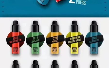 2500口 Hebat一次性电子烟全面解析：性能、口感与优势全揭秘