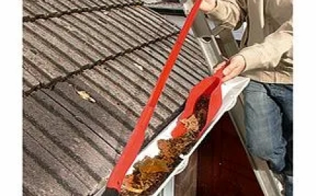 Gutter Cleaning Dandenong: Protect Your Home with Professional Maintenance