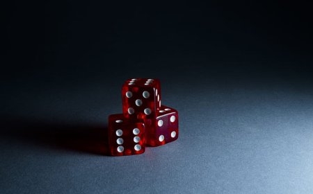 Mahadev Book Review: Features, Access, and User Experience