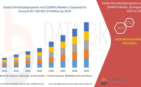 Dimethylolpropionic Acid (DMPA) Market Demand, Opportunities and Forecast By 2029