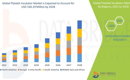 Platelet Incubator Market Demand, Opportunities and Forecast By 2028