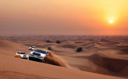 How VIP Hummer Desert Safaris Offer a Unique Dubai Experience