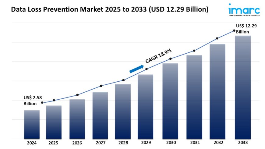 Data Loss Prevention Market Size, Trends, and Growth Analysis 2025-2033