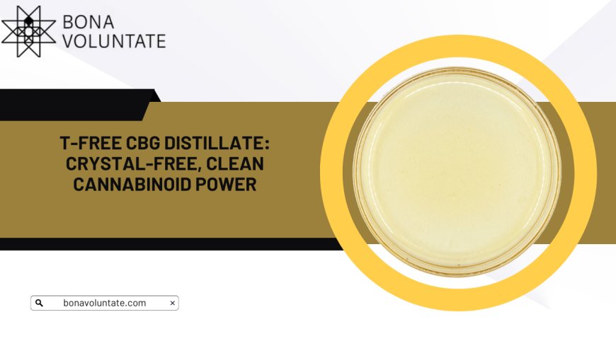 T-Free CBG Distillate: Crystal-Free, Clean Cannabinoid Power