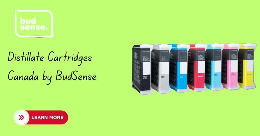 Distillate Cartridges Canada: BudSense Delivers Pure, Potent THC Vaping