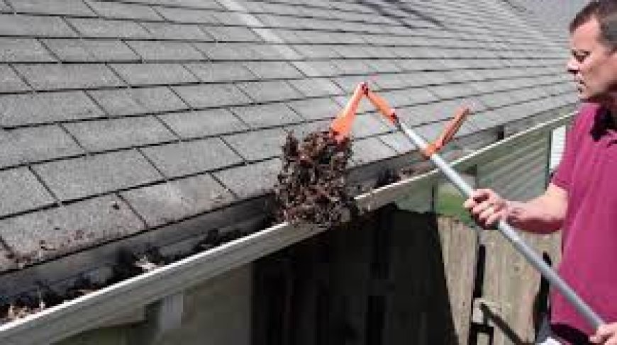 Gutter Cleaning Essendon: Essential Service for Property Protection