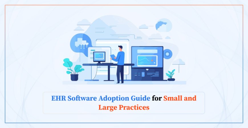 EHR Software Adoption Guide for Small and Large Practices
