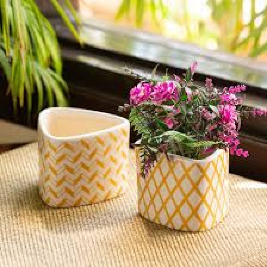 Looking to Buy in Bulk? Here’s Why Wholesale Plant Pots Are a Smart Choice for Your Business