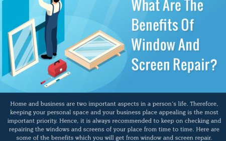 Infographic: What are the Benefits of Window and Screen Repair