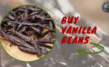 Everything You Need to Know Before You Buy Vanilla Beans Online