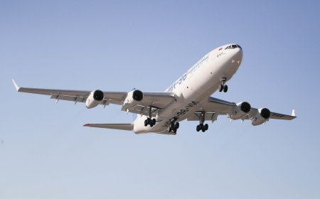 Skip the Wait: How to Talk to a Real Person at JetBlue or Southwest