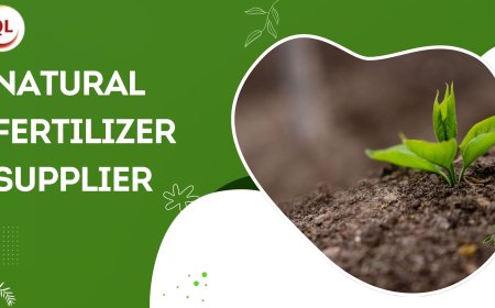 How Natural Fertilizer Suppliers Are Driving the Organic Farming Revolution