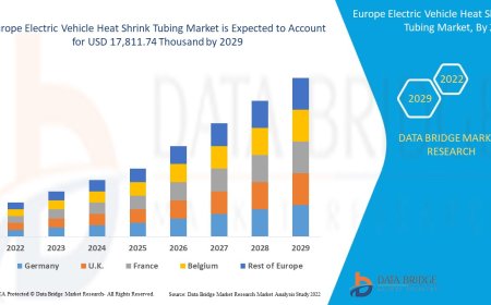 Europe Electric Vehicle Heat Shrink Tubing Market Value with Status and Analysis 2029