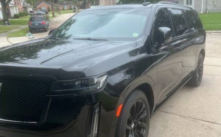 Top 5 Occasions to Book a Limousine Service in Mandeville, LA