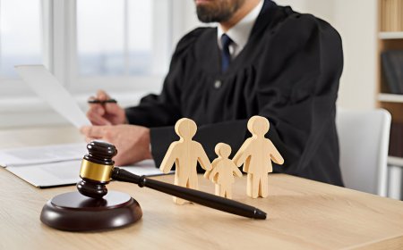 How to Choose the Right Adoption Lawyer for Your Family