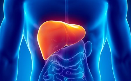 How a Liver Specialist Manages Chronic Hepatitis Safely and Effectively
