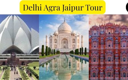 Delhi Agra Jaipur Tour: Your Gateway to Incredible India