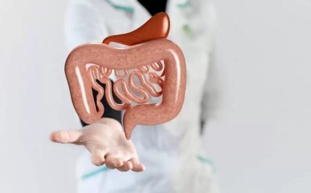 Common Digestive Disorders Treated by a Gastro Doctor Dubai