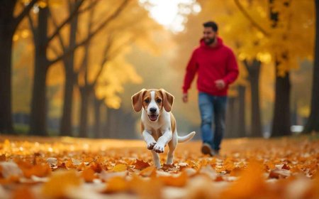 What Are Some Essential Smart Tips Every Pet Owner Should Know to Ensure Their Pet’s Health and Happiness?