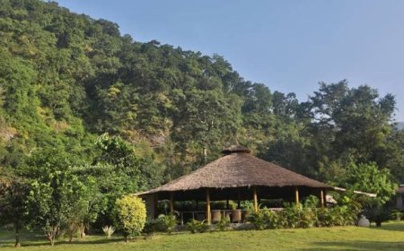 Corbett River Creek: A Hidden Gem in the Wilderness