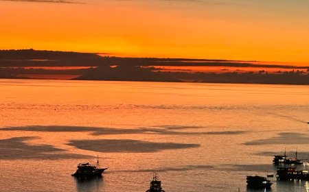 Travel the Most Popular Place in the World