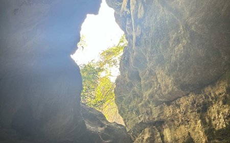 A Journey Through Flavor and Discovery