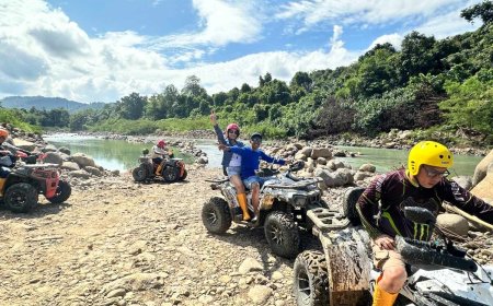 Inside Flores: Stories of Taste and Travel