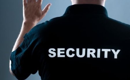Why Barzo Security Leads in Custom Protection