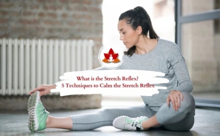 Understanding the Stretching Reflex: How the Body Protects and Balances Itself