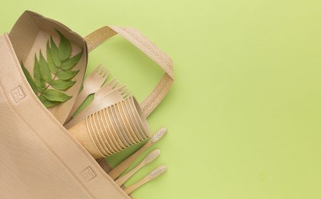 How Individuals Can Contribute to the Sustainable Development Goals