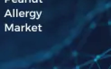 Peanut Allergy Market Insights: Changing Dynamics and Future Outlook