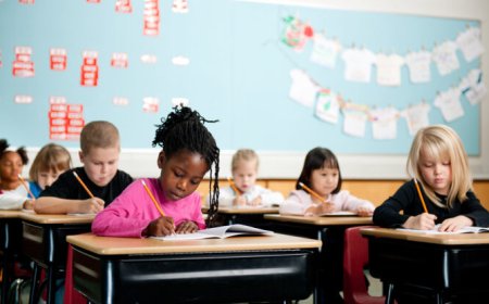 Top Elementary School in Englewood