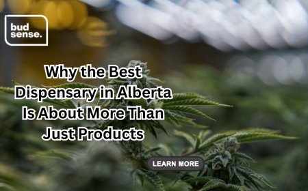 Why the Best Dispensary in Alberta Is About More Than Just Products