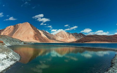 Frozen Lakes & Warm Hearts: My Ladakh Diary