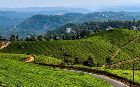Mist, Mountains & Munnar: An Unforgettable Journey